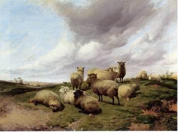 unknow artist Sheep 146 oil painting image